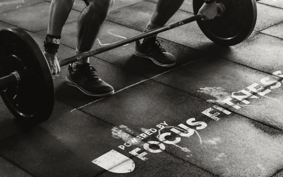 Η Focus Fitness διοργανώνει δύο σεμινάρια στον Θησέα για τη σπονδυλική στήλη και την πύελο